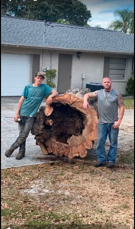 Massive stump removed by crew