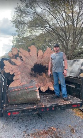 Hauling oversized stump on truck