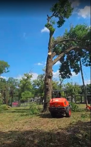 Skid-steer assisted removal
