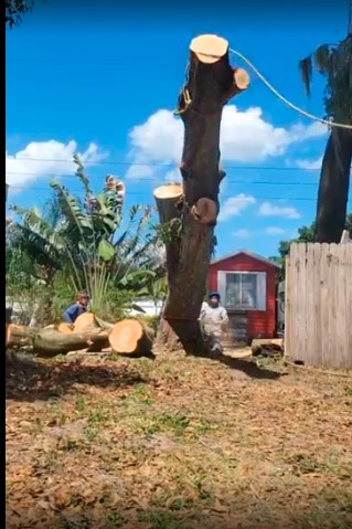 Sectioning a hardwood near fence